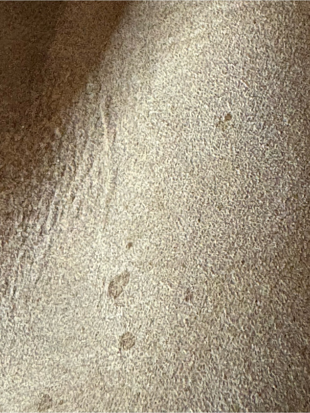Sorel Tan Suede Ankle Booties - Picture 8 of 8